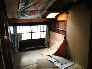 IMG_0461