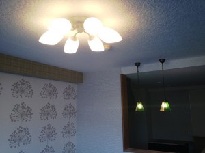 IMG_0515